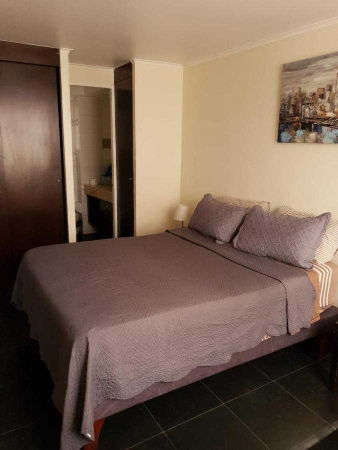 Appartement Departamento Con Terraza R&M à Santiago du Chili Extérieur photo